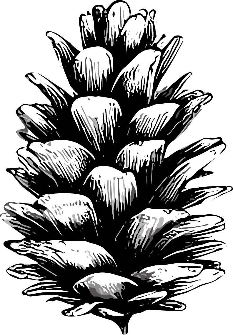 decorative pinecone