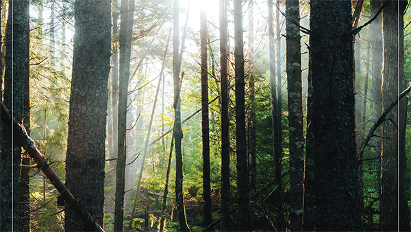 read the Bowdoin news article about Beyond the Claims